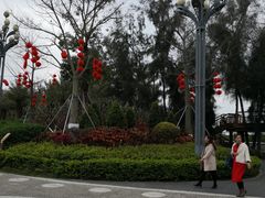 -宝安西湾红树林湿地公园