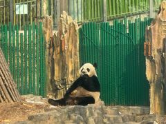 -大连森林动物园