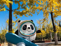 -永定河休闲森林公园