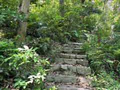 -青龙山国家森林公园