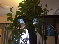 -上康中医脊椎理疗馆