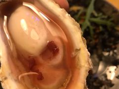 -囧吉香生蚝牛排馆(湖北路店)