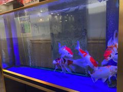 -小渝公重庆卤味火锅(临沂店)