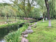 -桐乡植物园