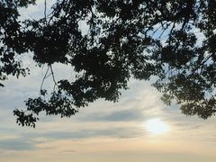 -阳澄湖半岛旅游度假区