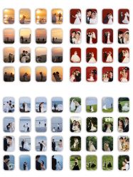 -北遇映画PHOTO GRAPHY STUDIO