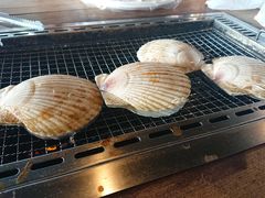-海鮮寿司とれとれ市場