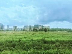 -宝安西湾红树林湿地公园