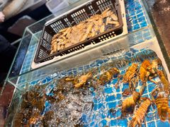 -争先鲜·蒸汽海鲜自助·鲜切牛肉