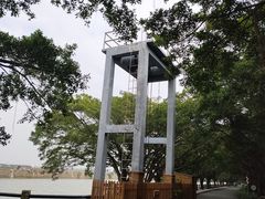 -大湾区中央湿地公园
