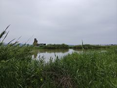 -漩门湾国家湿地公园