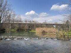 -桤木河湿地公园