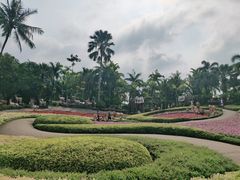 景点-东芭乐园