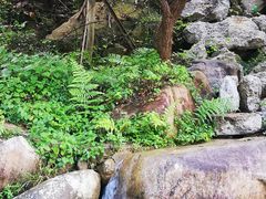 -五龙源极限漂流