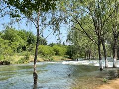 -永定河休闲森林公园