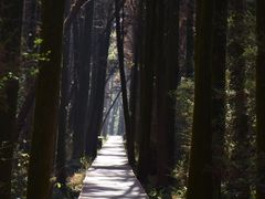 -同里国家湿地公园
