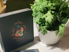 -狐狸爱上椰子鸡(滨江星光大道店)