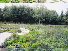 -思念果岭悦温泉