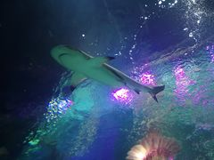 -沈阳海洋探索中心