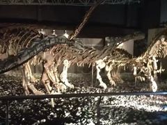 -世界恐龙谷景区