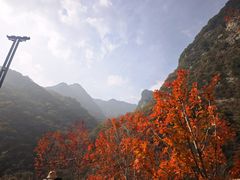 -少华山国家森林公园