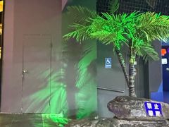 -太平洋海底世界