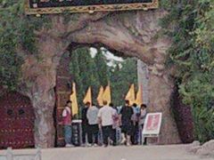 -大槐树寻根祭祖园