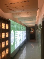 点击看大图 -阅年轻·AI家庭健康体质调理