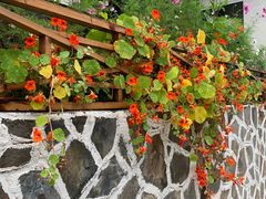 -四姑娘山阿巴郎·藏式花园餐厅