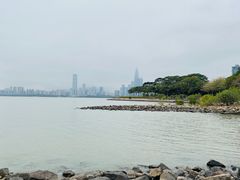 -深圳湾公园(南山区)