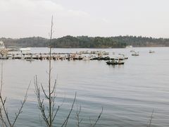 -仙海旅游度假区