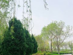 -大兴滨河森林公园