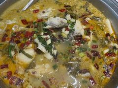 -全乐鱼馆·淳牌有机鱼直营店