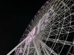 -琴岛之星摩天轮