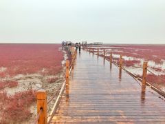 -红海滩国家风景廊道