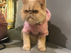 -小时光咖啡馆(开森度假森林店)
