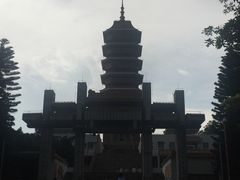 -三水森林公园