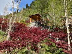 -古尔沟华美达温泉度假酒店