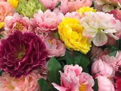 -万达广场(菏泽牡丹店)