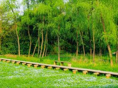 -西溪国家湿地公园