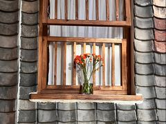 -瓦库茶馆17号(海汇港店)