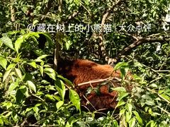 -昆明动物园