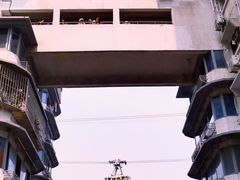 -白象居