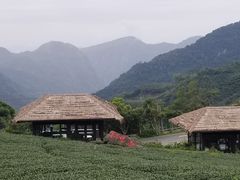 -优游吧斯邹族文化部落