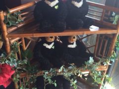 iphone_upload_pic-济州岛泰迪熊博物馆