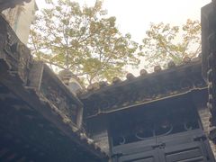 -长洲岛