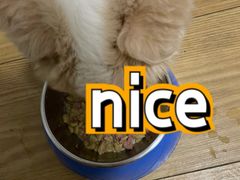 -翊宠yipet猫狗购宠庄园犬舍•猫舍