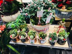 -豆豆花艺(新光天地店)