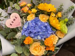 -静岸花卉园艺(三星坊店)