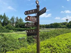 -杏花村文化旅游区